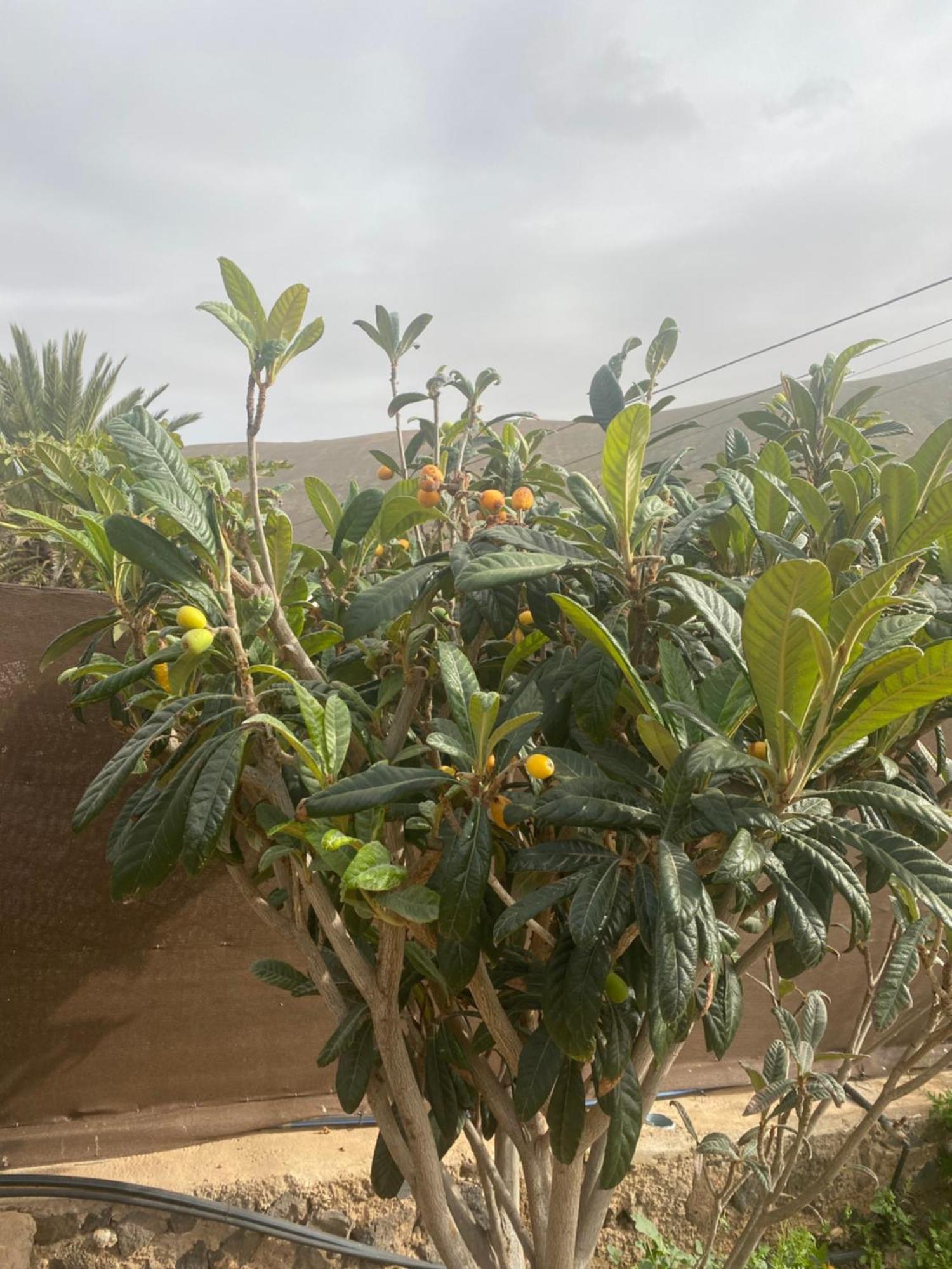 فيلا Vallechico Vallebron المظهر الخارجي الصورة