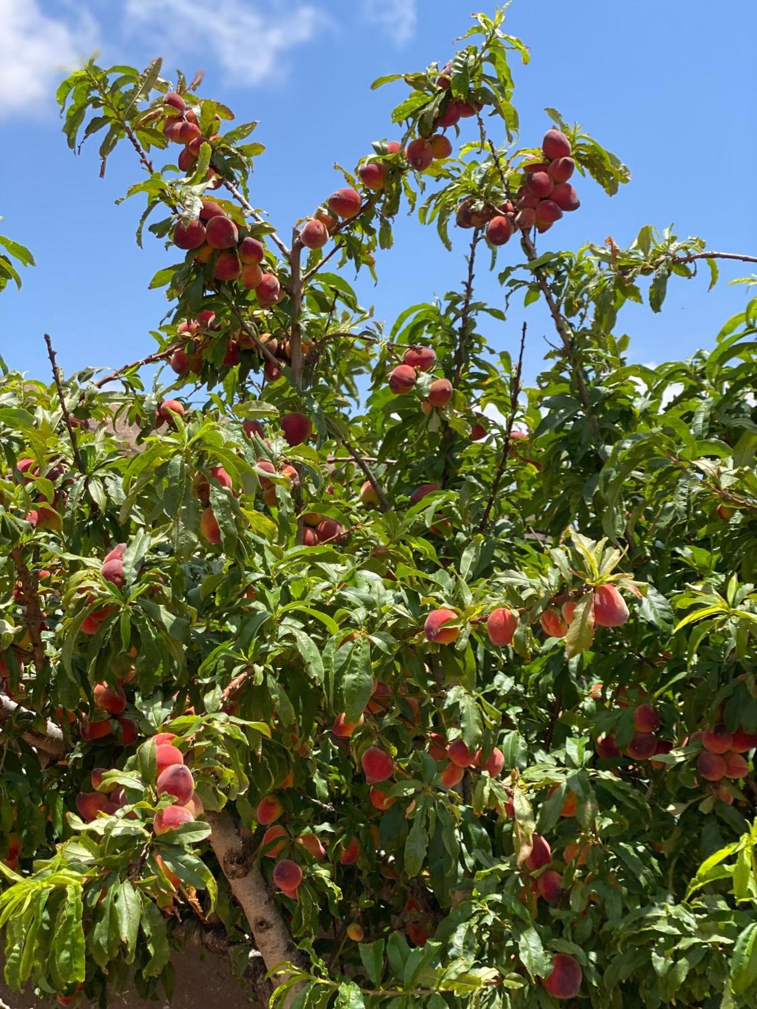 فيلا Vallechico Vallebron المظهر الخارجي الصورة