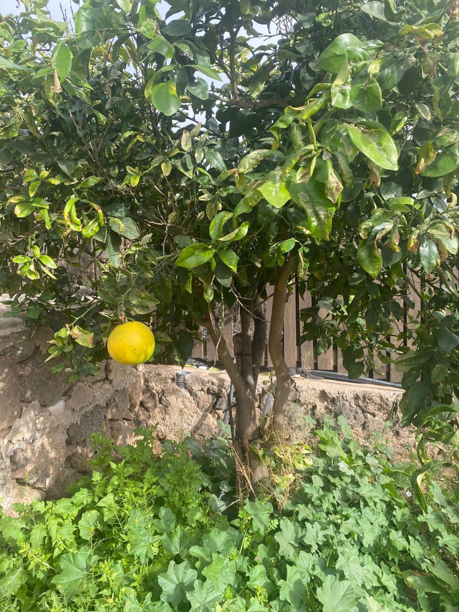 فيلا Vallechico Vallebron المظهر الخارجي الصورة